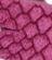 Attribuut kleur variatie Fuchsia orchid rose