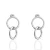 RVS oorbellen/oorstekers ringen Zilver