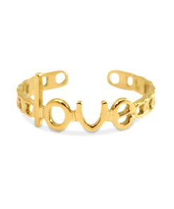 Roestvrij stalen (RVS) Stainless steel ring Love Goud
