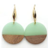 RVS oorbellen met epoxy houten hanger in groen