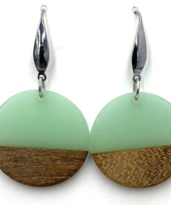 RVS oorbellen met epoxy houten hanger in groen